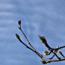 양산팔경 금강둘레길 | 걷기좋은 양산팔경 금강둘레길