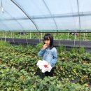 용소 태권도장 이미지