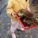 군산언어심리센터 이미지