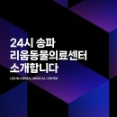 리움동물의료센터 | ✨ 24시 송파 리움동물의료센터 소개합니다🎈🎉