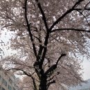 개금2동-3 이미지