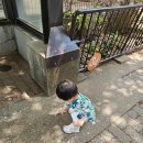 비둘기모사 | [은호의 해외여행] 동에 번쩍! 서에 번쩍!