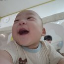 달복이 6개월 성장기록