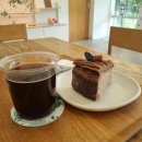 애기 강아지 반려견전문샵 이미지