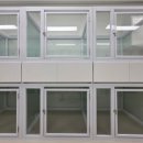 통일애견 이미지