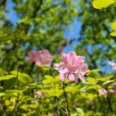 형제봉 농장 이미지