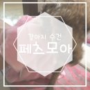 번개울천 | 강아지 수건 페츠모아 애견 타올 하나면 드라이 시간 단축 가능해
