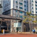 닥터홍 동물병원 이미지