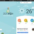 고고패밀리