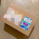 도도한 펫츠 이미지