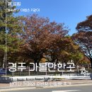 호반장 - 광산구 송정로1번길 16 | 경주 가볼만한 곳 감성 카페 향미사와 호반장 후기.