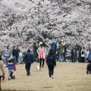 의왕시청 이미지