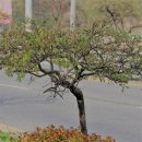 까치울역 이미지