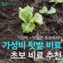 풍농비료 | 가성비 넘치는 효과 좋은 텃밭 비료 추천, 초보 비료 추천 💫