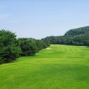 삼남개발(주) 기흥컨트리클럽 이미지