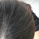 둔산동 염색 잘 하는 곳 ! 미용실 비안이즈 자연스러운 염색 후기