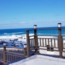 제주마중 판포 이미지