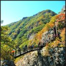 구봉산
