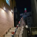 [카페페퍼] 잠실 송리단길 두쫀쿠 판매 카페 분위기 좋은 송리단길 카페 데이트코스 추천