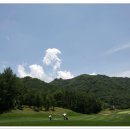 용평 버치힐골프클럽 이미지