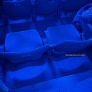 뮤지컬 <안녕? 빨강머리 앤> | 프랑켄슈타인 뮤지컬 콘서트 후기 (장충체육관 시야)