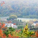 구룡초등학교 이미지