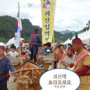 괴산고추축제 이미지