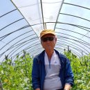 웃말농장 이미지