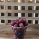 달달한민족 이미지