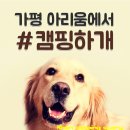 아리움캠핑 이미지