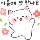 은모래해물포차