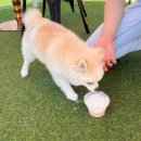 아이조아펫파크 대구점 이미지