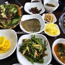 장어독립 이미지