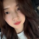 아린이 Daum카페