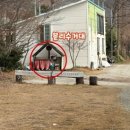 스테이변산바람꽃 이미지