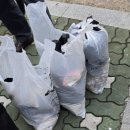 대신시장 이미지