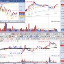 산일바이오 이미지