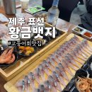 황금뱃지 | 제주표선 고등어회 맛집 해비치 근처 황금뱃지 내돈내산 추천