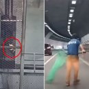 댕댕냥냥 이미지