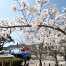 진해구 ⓒ-20 이미지