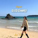 대마도 당일치기 여행 자전거타고 미우다해변 후기
