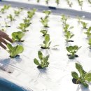 차씨축산 이미지