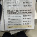 예쁜 얼굴 만들기 | 강남역 쥬베룩 계란형 얼굴 만들기 내돈내산 후기