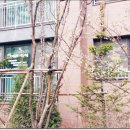 뉴프로공인중개사사무소 네이버블로그
