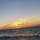 풍성자동차정비 | 자유로운 영혼의 필수품, 스마트한 광주자동차렌트 A to Z 탐험기!