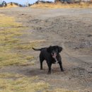 아름다운동물병원 이미지