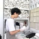 보조기전