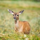 지에스25 부산전포점 이미지