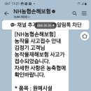 신흥3농장 Daum카페