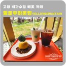 고양 카페 옐로우마운틴 배꽃카페 YELLOWMOUNTAIN 4.19